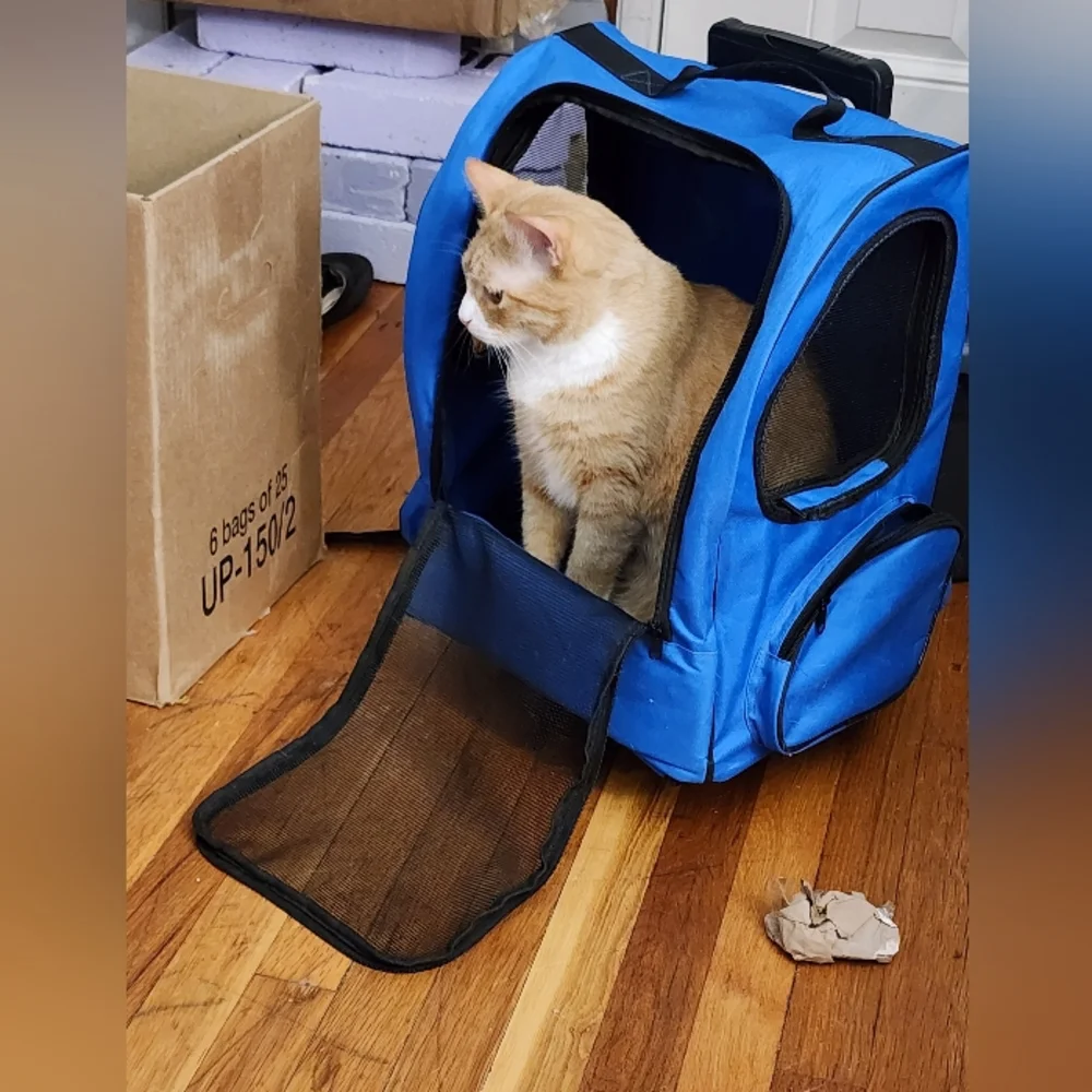 Pet Carrier